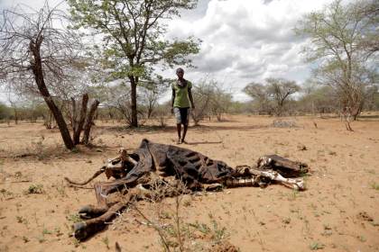 ONU: Los países incluyen cada vez más el cambio climático dentro de políticas económicas