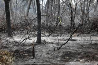 El fuego arrasó 647.375 hectáreas en la UE hasta septiembre, un 35 % menos que en 2025