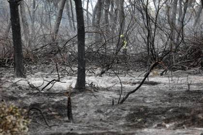 El fuego arrasó 647.375 hectáreas en la UE hasta septiembre, un 35 % menos que en 2025