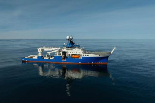 La expedición submarina en Argentina que causó furor mundial descubre 57 nuevas especies