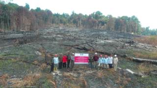 Indonesia sanciona a seis compañías por los incendios agrícolas en la isla de Borneo