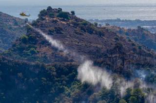 Controlado el incendio forestal declarado el domingo en Benahavís (Málaga)