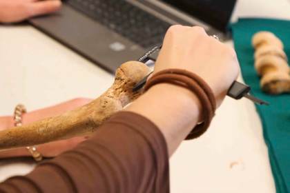 Hallan un marcador óseo asociado a la menstruación en restos humanos de siglos XIV a XVIII