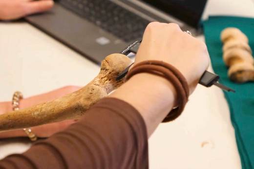 Hallan un marcador óseo asociado a la menstruación en restos humanos de siglos XIV a XVIII