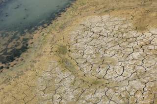 La sequía ya ha costado a los agricultores alemanes más de 600 millones de euros