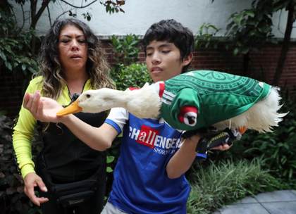 Patos, remos y mucho rosa, las anécdotas que se roban el 'show' en el Mundial