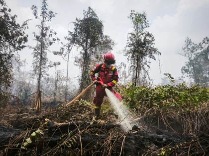 Casi el 96 % de los incendios de Indonesia se producen en plantaciones de aceite de palma