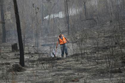 Honduras conmemora Día de la Tierra entre la "emergencia" climática y llamados a adaptarse
