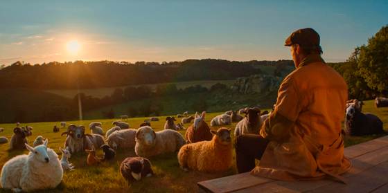 'The Sheep Detectives', cuando un crimen une a un rebaño para impartir justicia
