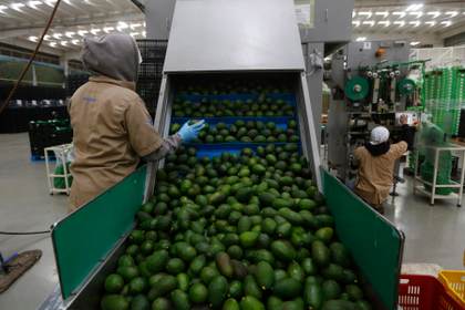 La actividad económica de México se eleva un 2,3 % interanual en abril