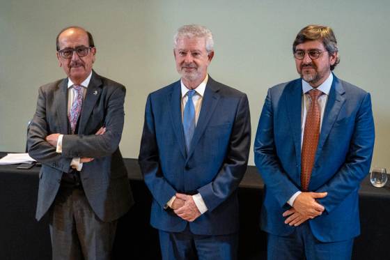 Abogados de Cristina Fernández presentarán nueva prueba ante Comité de DD.HH. de la ONU