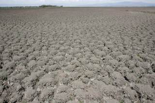 La COP17 cierra sin pacto de sequía, pero moviliza 1.300 millones de dólares