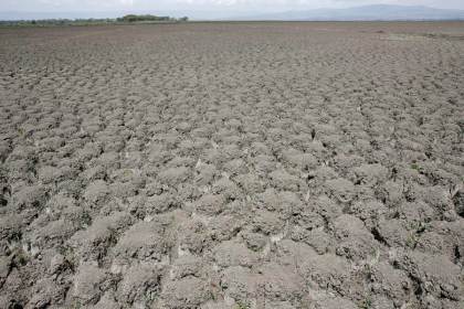 La COP17 cierra sin pacto de sequía, pero moviliza 1.300 millones de dólares