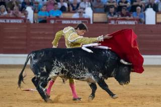 Morante, Manzanares y Roca no defraudan y salen a hombros en Almagro