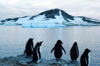 Antarctica 2030 insta a los gobiernos a fijar una gran área de protección en la Antártida