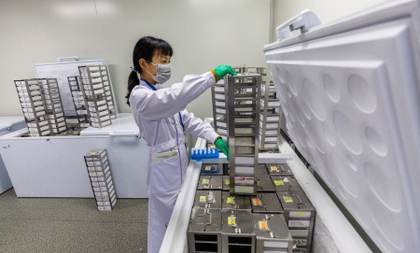 Crean un atlas con más 92 millones de elementos del ADN que controlan los genes humanos