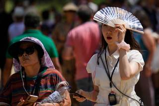 OMS: La sanidad debe incorporar a su planificación anual la preparación para calor extremo