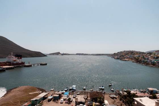 "Aquí nos quedaremos", pueblos indígenas firmes tras tomar planta de amoniaco en México