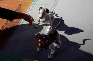 Sony pone fin a las ventas de su perro-robot Aibo en Japón