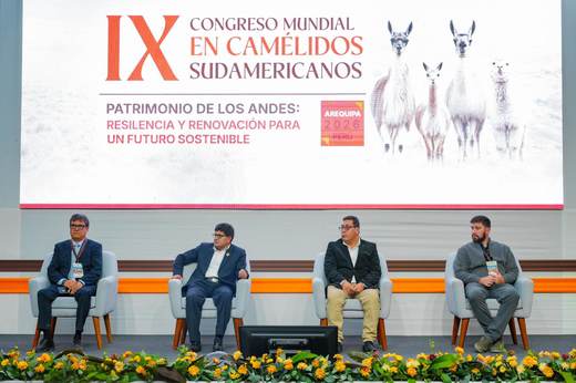 Congreso Mundial de Camélidos Sudamericanos reúne a expertos de América y Europa en Perú