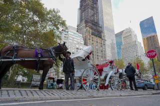Nueva York aprueba la ley que prohibirá los carruajes tirados por caballos en junio 2028
