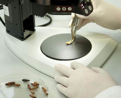 México arriesga competitividad por fuga de mujeres en carreras STEM, revela estudio