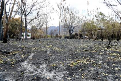 Alertan que incendios en Colombia son provocados y fenómeno de El Niño alimenta las llamas