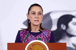 Sheinbaum pide revisar norma tras sacrificio de 10.000 perros callejeros en México