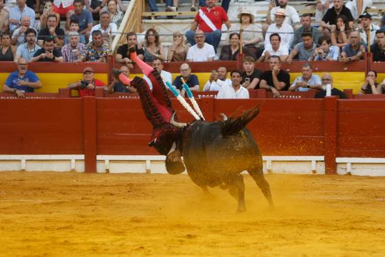 Los banderilleros Fernando Sánchez y Andrés Revuelta cogidos en Alicante