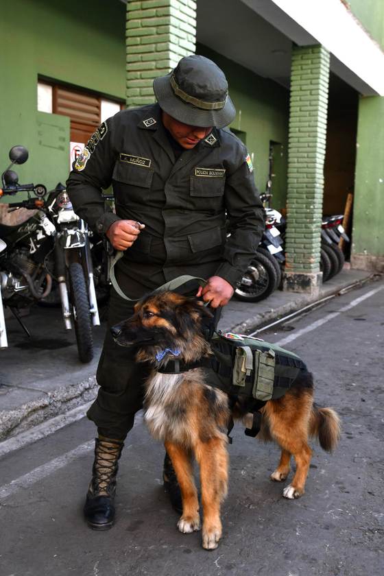 La Policía adopta a Rex, el perro callejero que acompañó un desbloqueo de rutas en Bolivia
