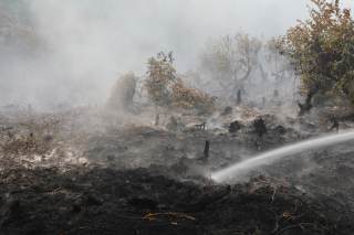 Los incendios incontrolables en Indonesia acorralan al Gobierno y a empresas responsables