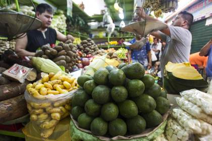 Agroexportaciones de Perú crecieron 18 % en 2025 y obtienen alza de 7,3 % en 2026