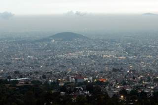 Salvar un volcán y plantar un bosque: la proeza de un joven mexicano en Iztapalapa