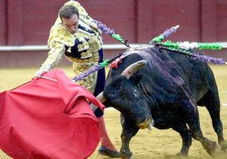 Un toro mata al torero retirado Ricardo Ortiz en los corrales de la plaza de Málaga