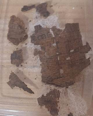 Un equipo de arqueólogos españoles identifica un papiro de la Ilíada en una tumba egipcia