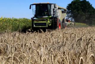 Ucrania busca salidas al bloqueo de sus puertos, que asfixia sus exportaciones de cereales