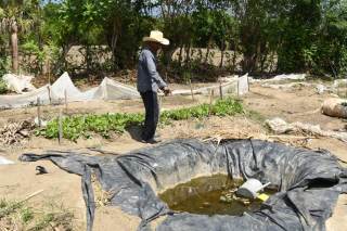 La sequía en Guatemala destruye cultivos y empuja a los campesinos a la supervivencia