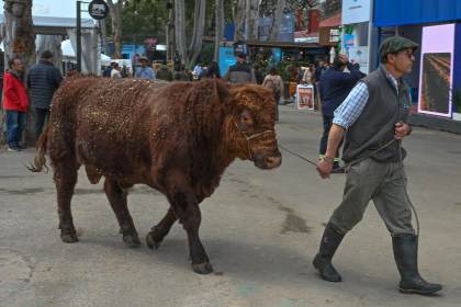 Uruguay inaugura su tradicional Expo Prado con el sector ganadero liderando exportaciones