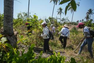 AI alerta del deterioro de derechos humanos y crisis de desaparecidos en México