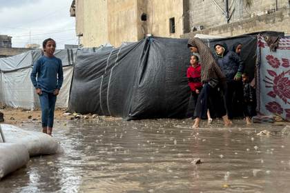 Un 80 % de los refugios de desplazados en Gaza están infestados de plagas, alerta la OMS