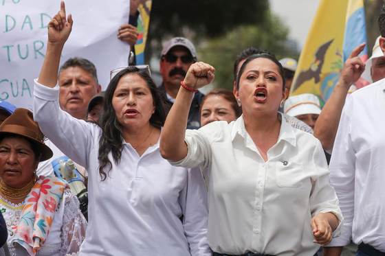 Ley de gastos de gobiernos locales en Ecuador suma nueva demanda de inconstitucionalidad