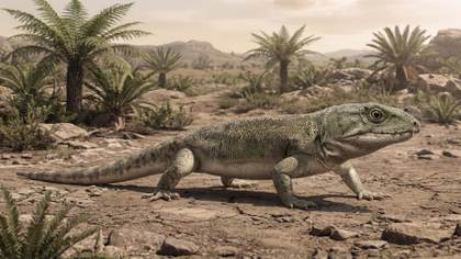 Un fósil de lagarto de hace 300 millones de años muestra el origen de nuestra respiración