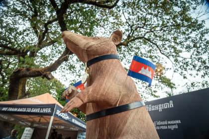 Camboya inaugura la primera estatua del mundo de una rata que salva vidas