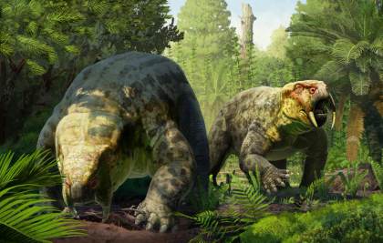 Identifican en Tanzania una nueva especie de animal prehistórico de 240 millones de años