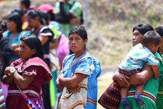 Caminar horas por el bosque para un bono social, la realidad de los indígenas panameños