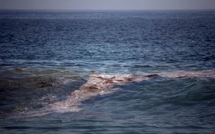 Greenpeace: mancha de crudo en el golfo de México tiene "impacto severo" en el ecosistema