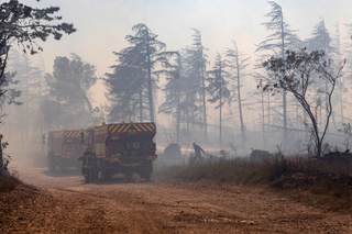 Incendio forestal cerca de Perpiñán (Francia) ha quemado 4.600 hectáreas y sigue avanzando
