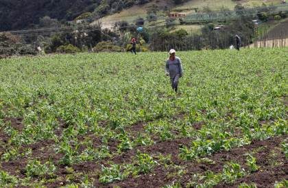 Doña Juana: la "mala vecina" que tapa con basura el horizonte verde de Bogotá