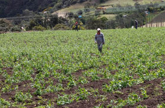 Doña Juana: la "mala vecina" que tapa con basura el horizonte verde de Bogotá