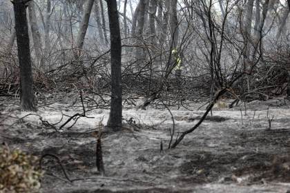 El fuego arrasó 647.375 hectáreas en la UE hasta septiembre, un 35 % menos que en 2025